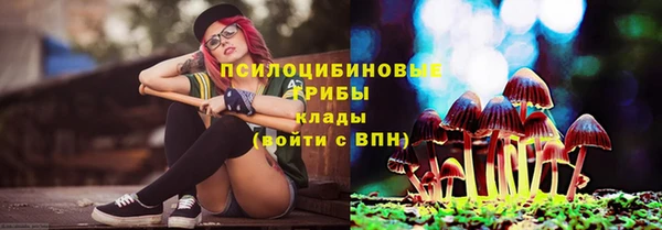 каннабис Ельня