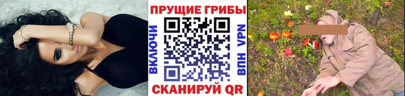 Галлюциногенные грибы мицелий Сосновый Бор
