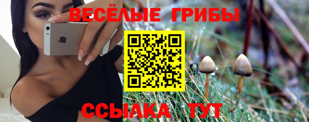 Сосновый Бор  Псилоцибиновые грибы прущие грибы  Галлюциногенные грибы Cubensis  Вход с VPN 