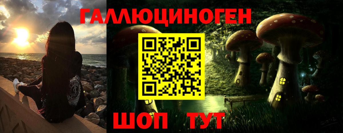 Псилоцибиновые грибы ЛСД Сосновый Бор